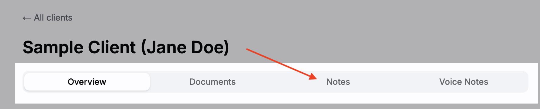 Client profile with the Notes tab selected
