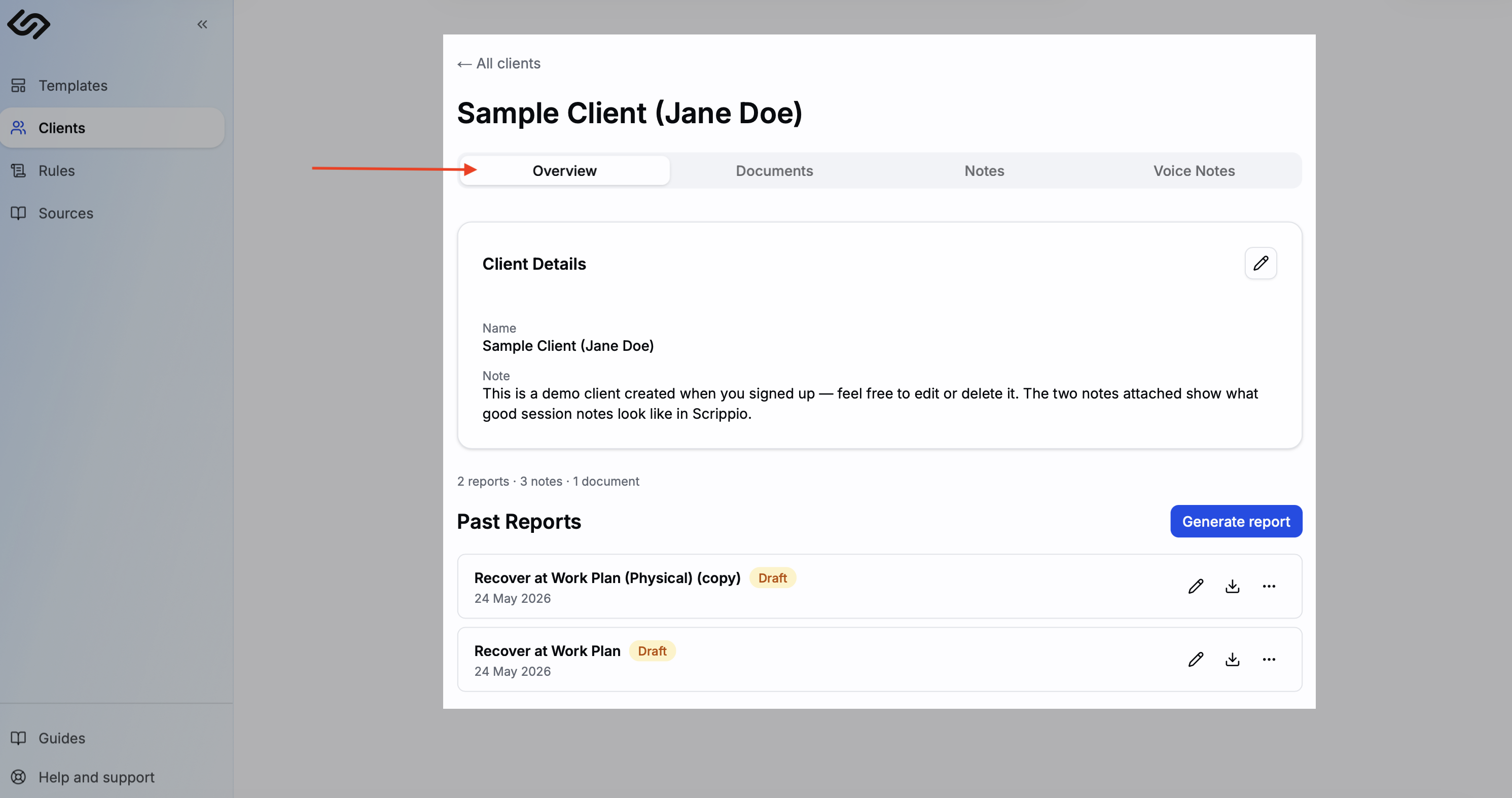 Client profile showing the four tabs: Overview, Documents, Notes, and Voice Notes
